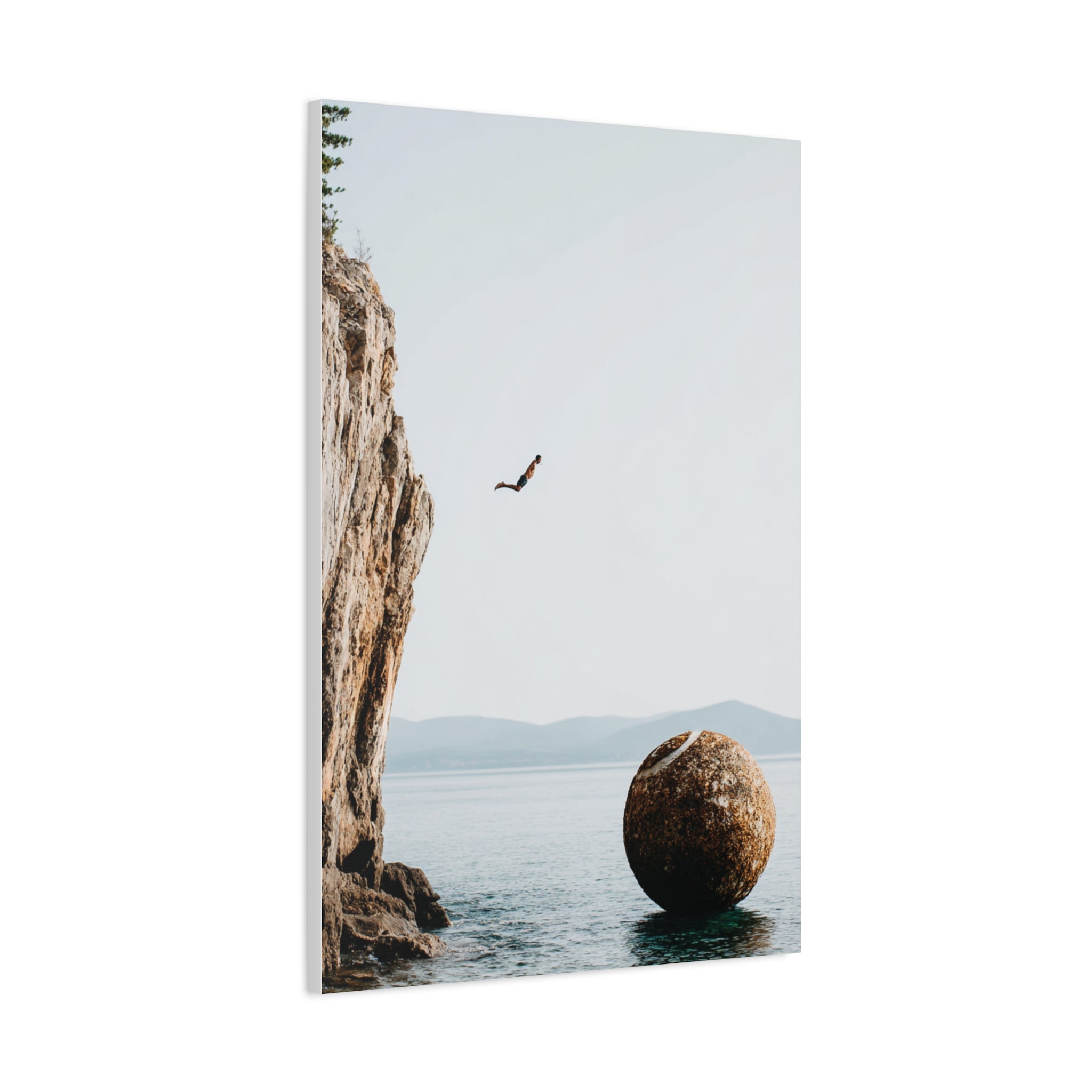 Nose Dive Canvas