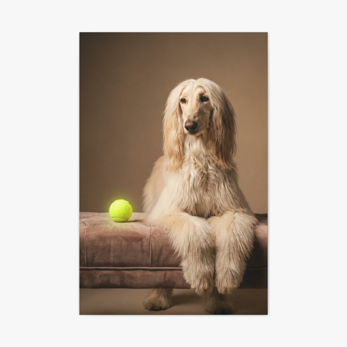 Best in Show Canvas