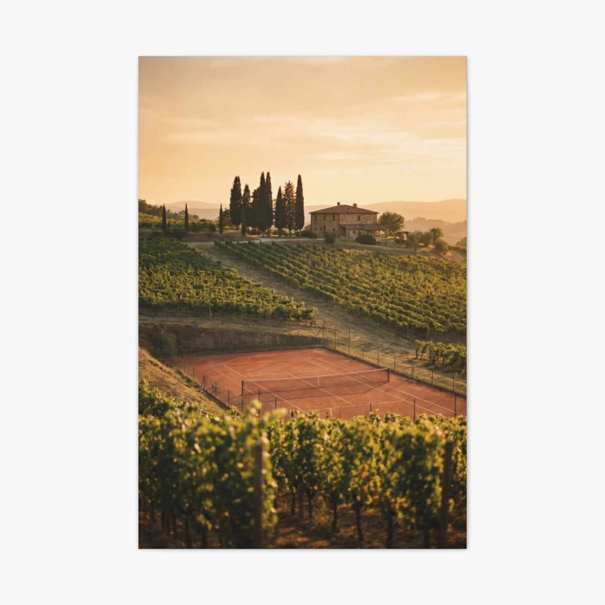 Grand Cru Canvas