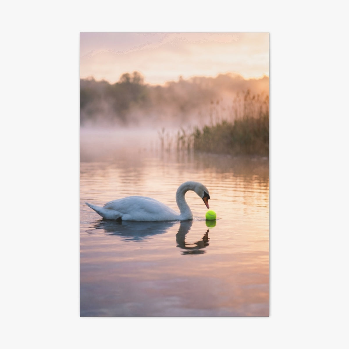 Swan Lake Canvas