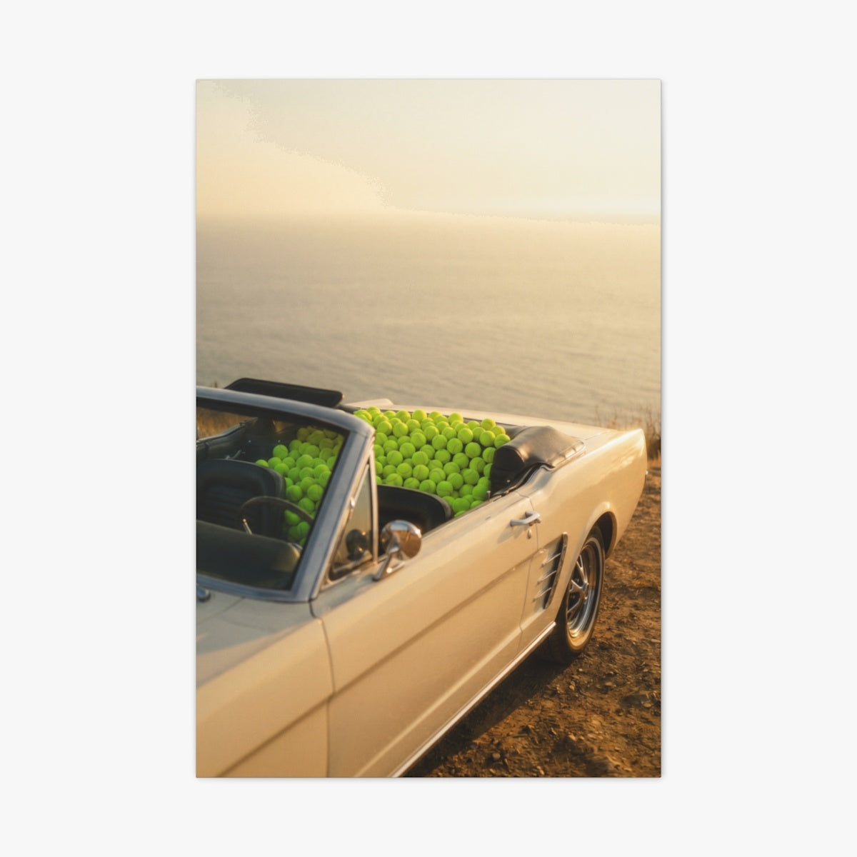 Top Down Canvas