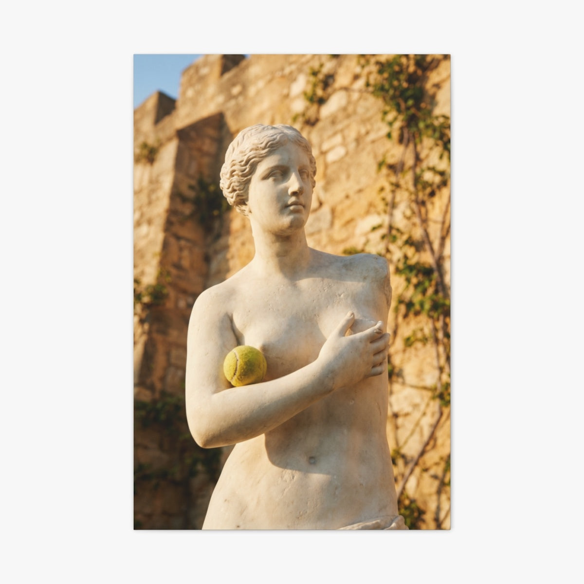 Venus de Match Canvas