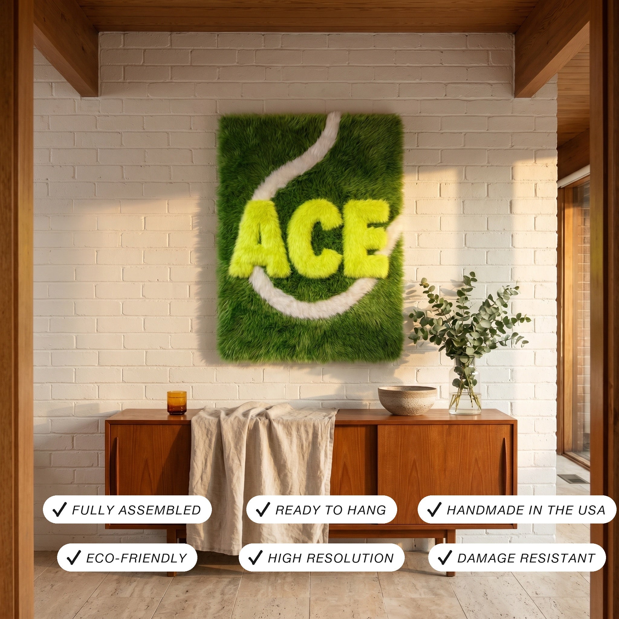 Ace Canvas USP