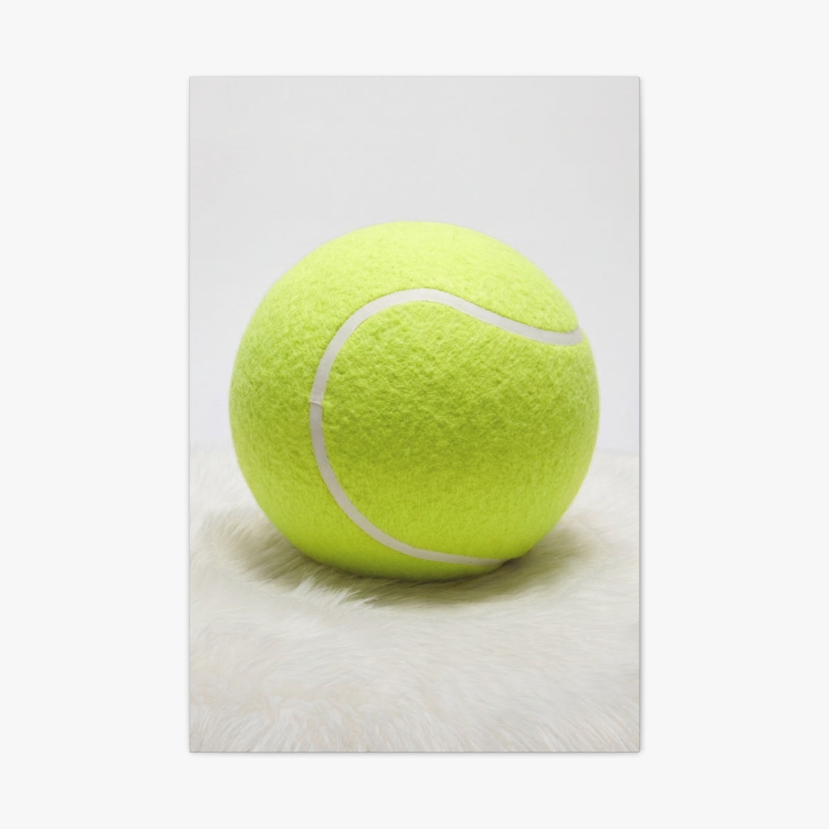 Big Serve Canvas