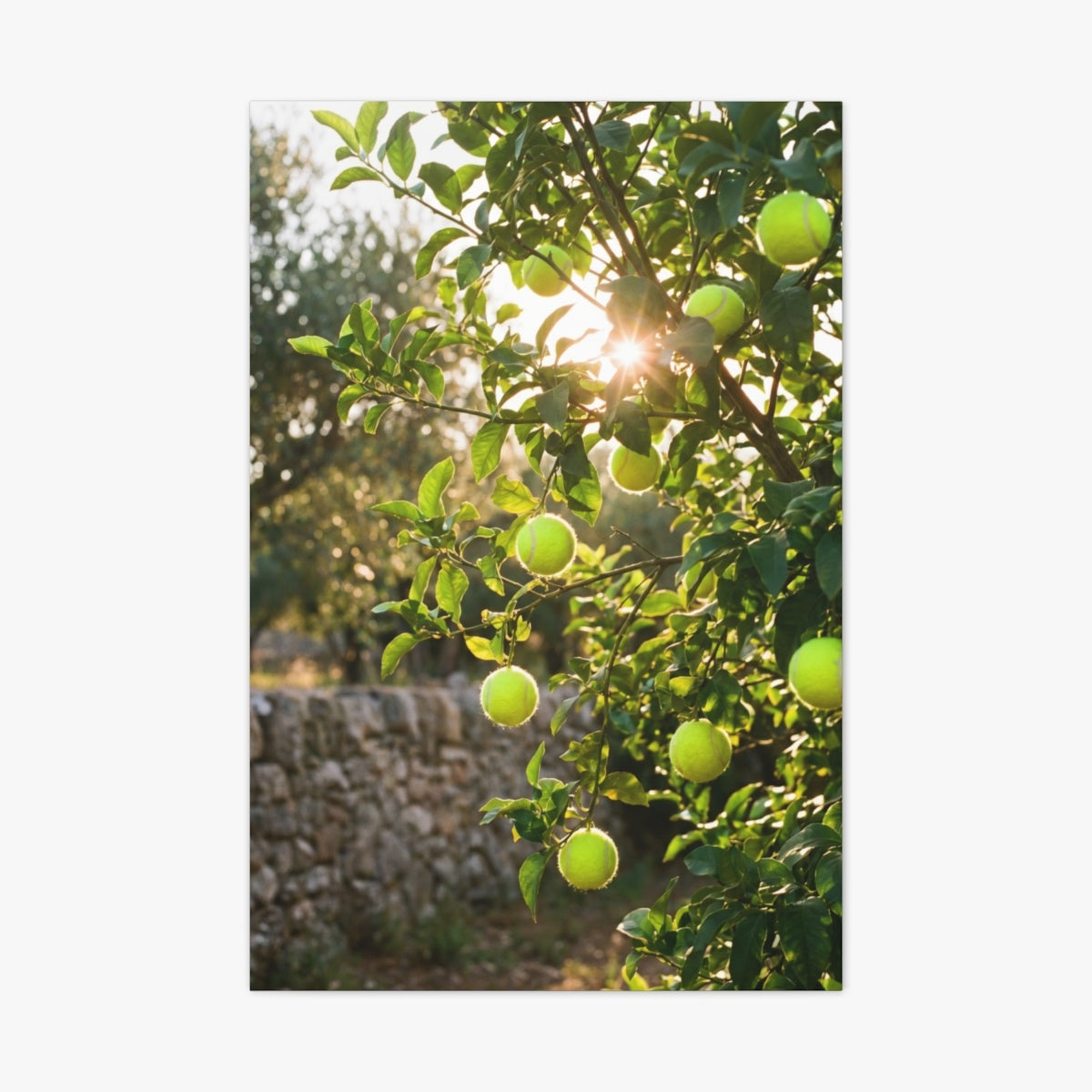 Citrus Serve Canvas