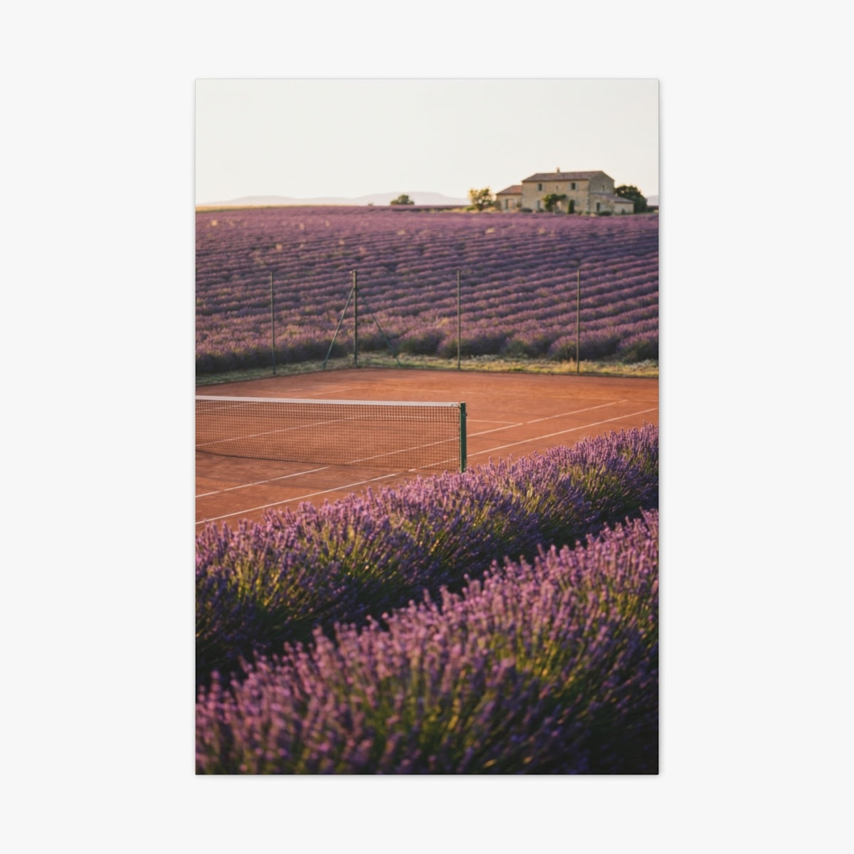 Lavender Haze Canvas