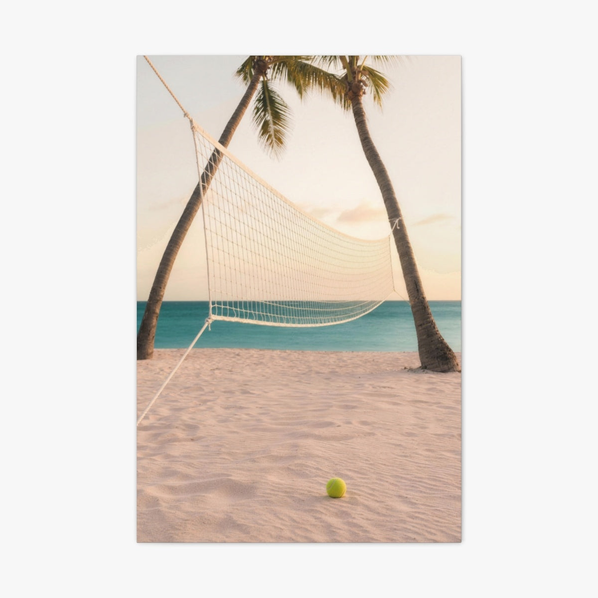 Shell Beach Canvas